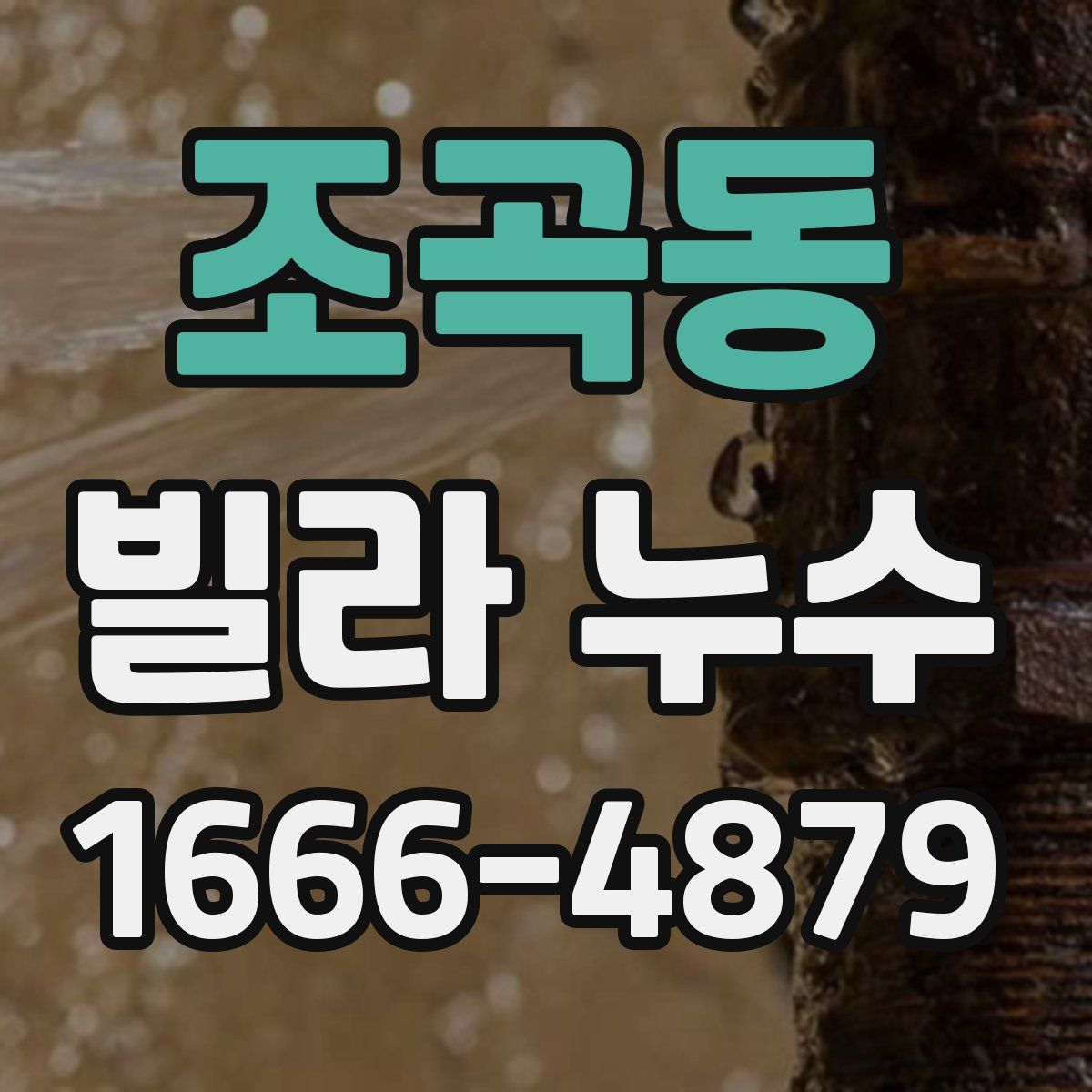 조곡동 빌라 누수