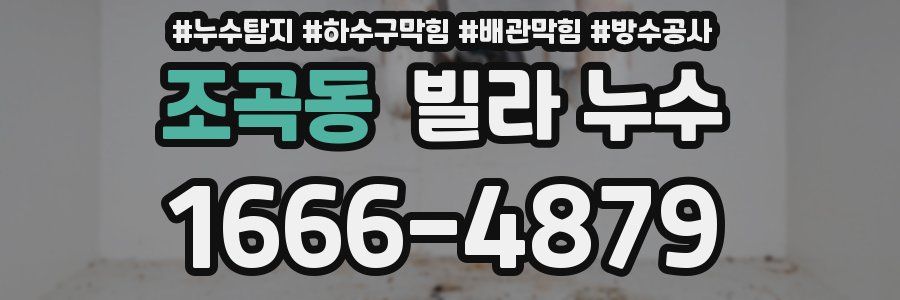 조곡동 빌라 누수
