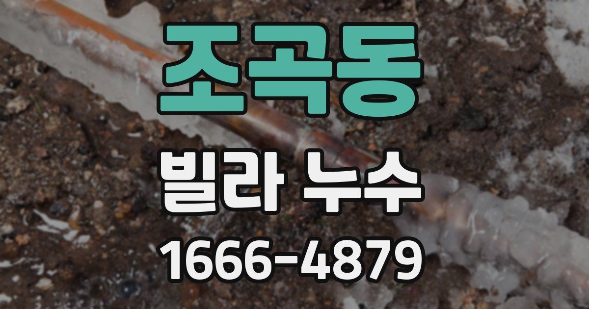 조곡동 빌라 누수