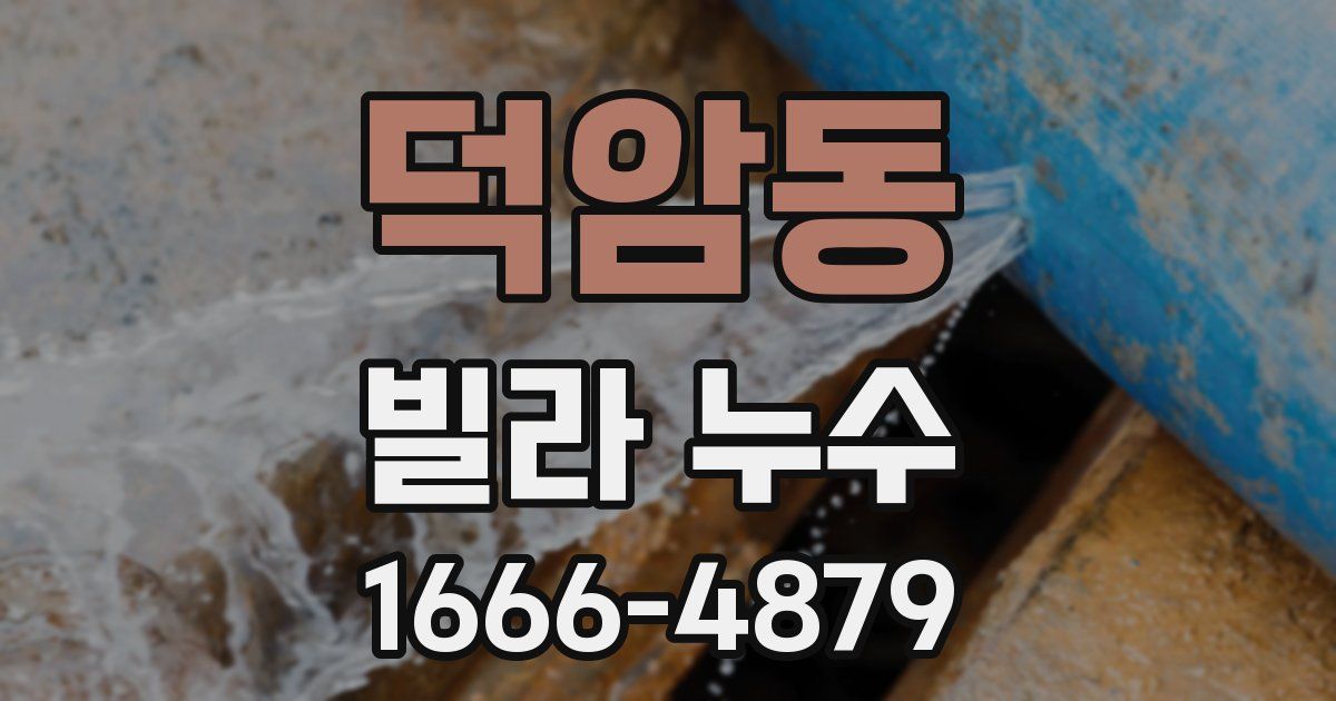 덕암동 빌라 누수