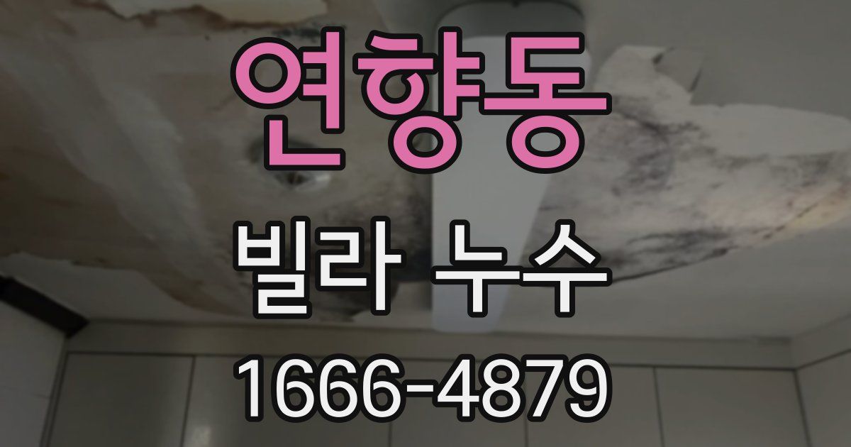 연향동 빌라 누수