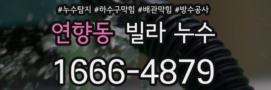 연향동 빌라 누수
