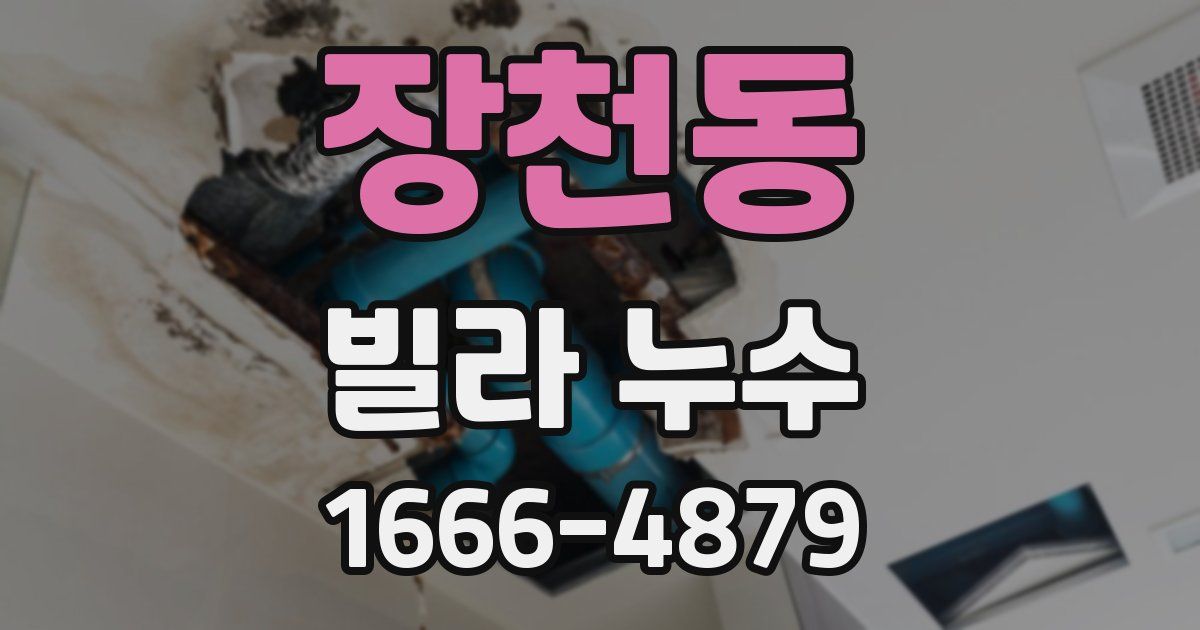 장천동 빌라 누수