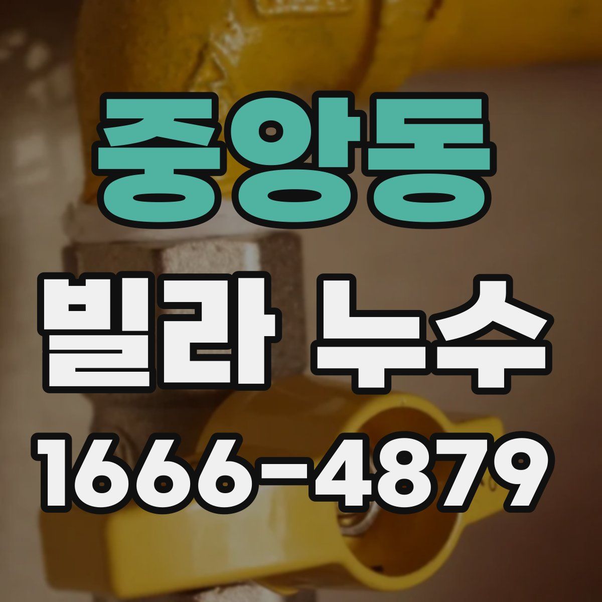 중앙동 빌라 누수