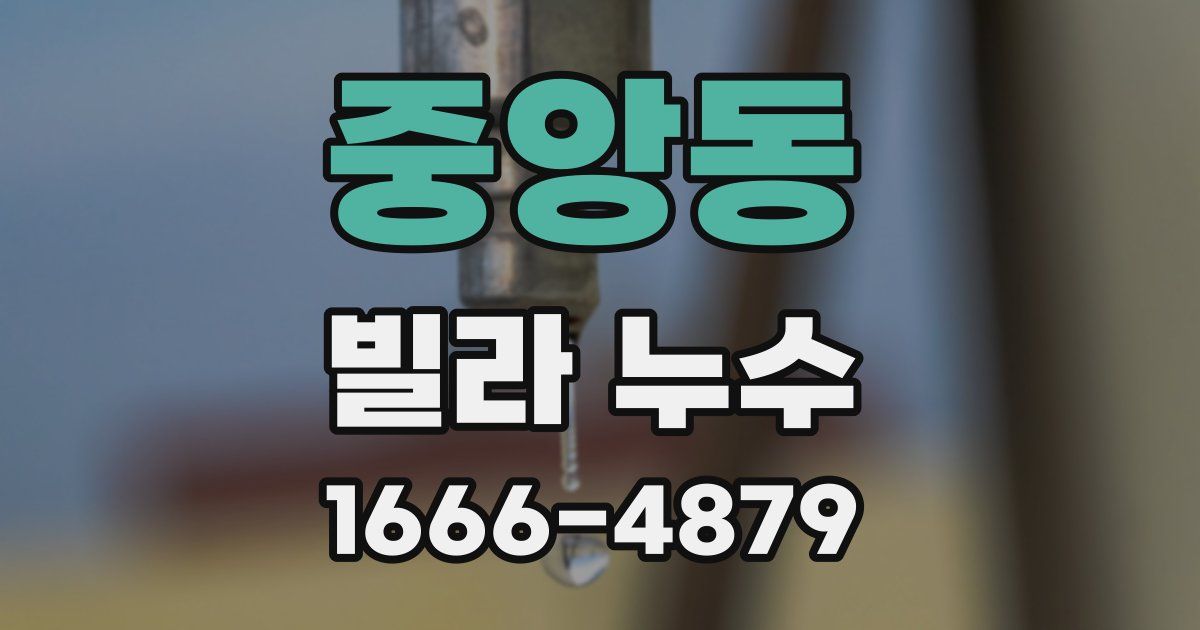 중앙동 빌라 누수
