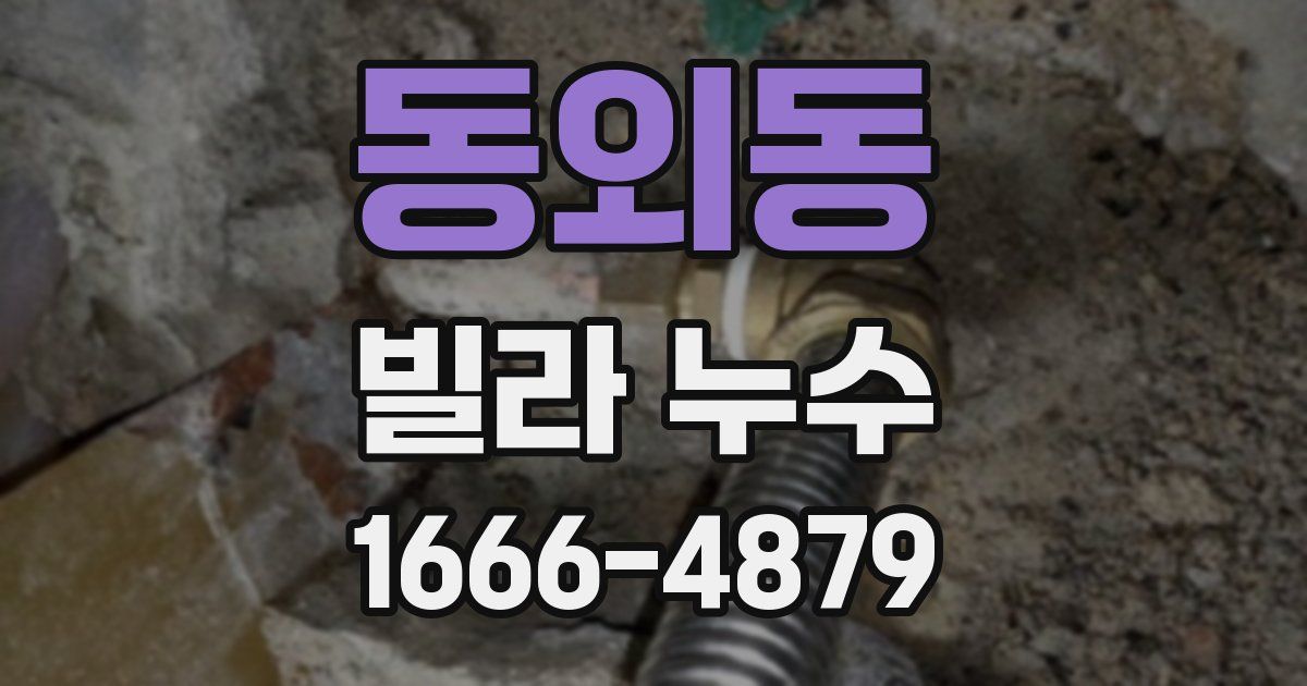 동외동 빌라 누수
