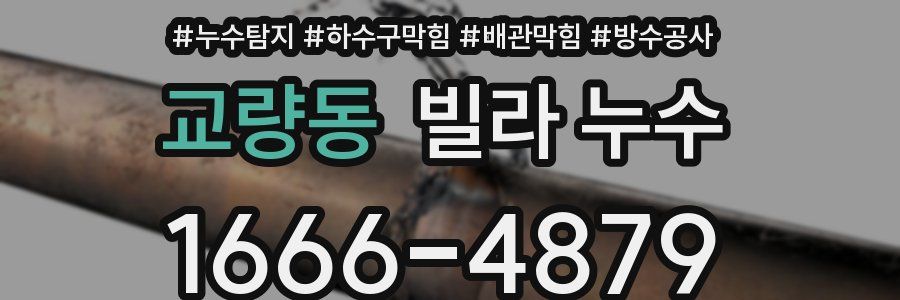 교량동 빌라 누수