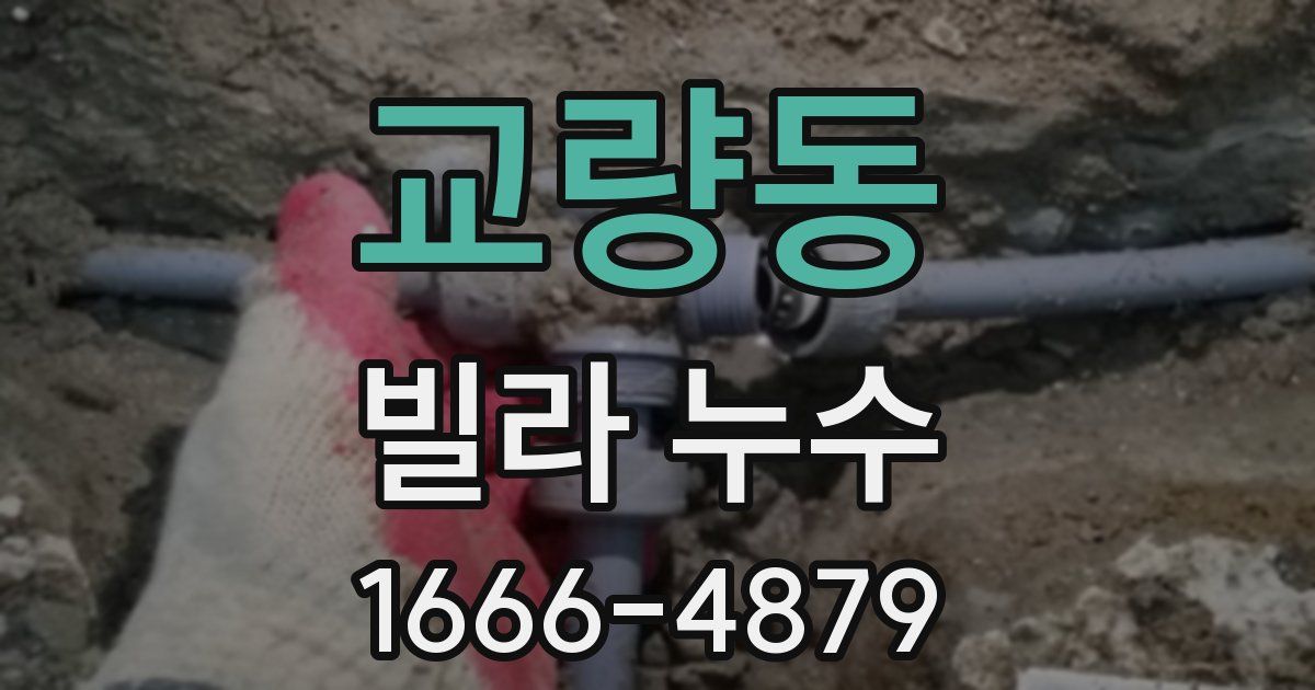 교량동 빌라 누수