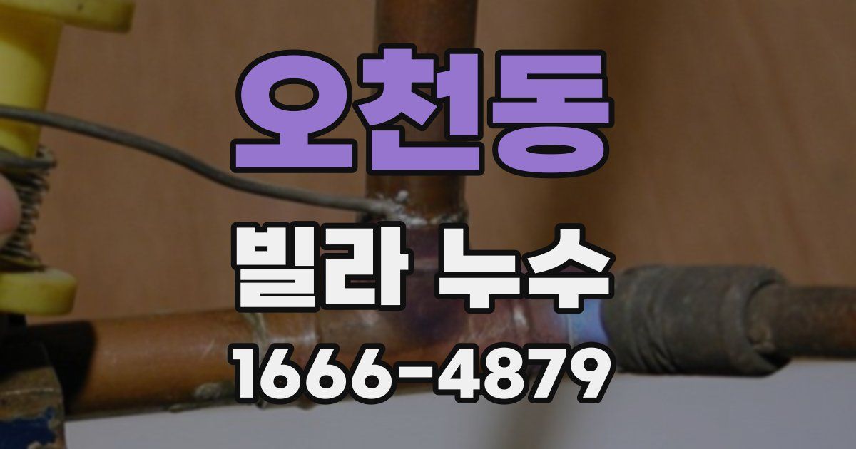 오천동 빌라 누수