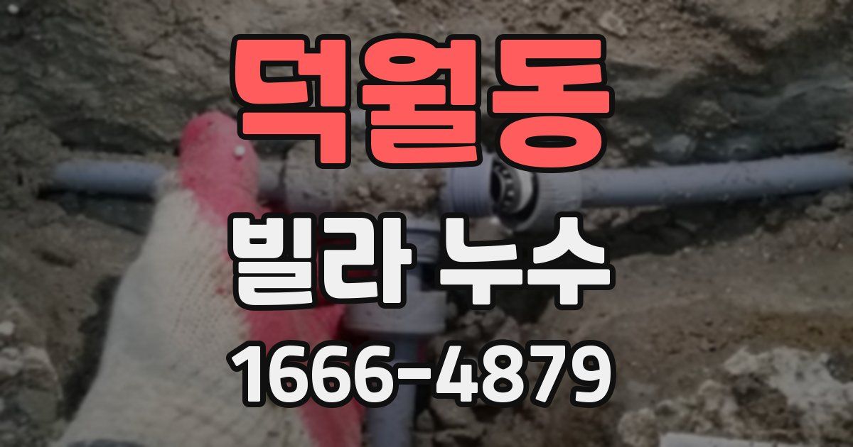 덕월동 빌라 누수