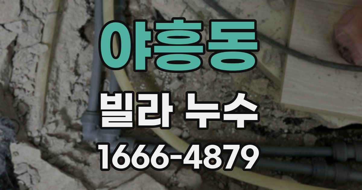 야흥동 빌라 누수