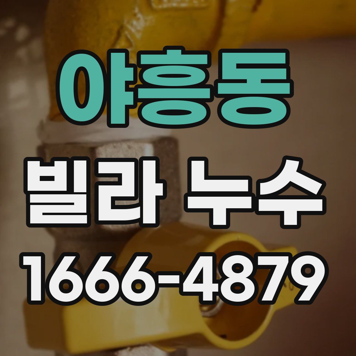 야흥동 빌라 누수