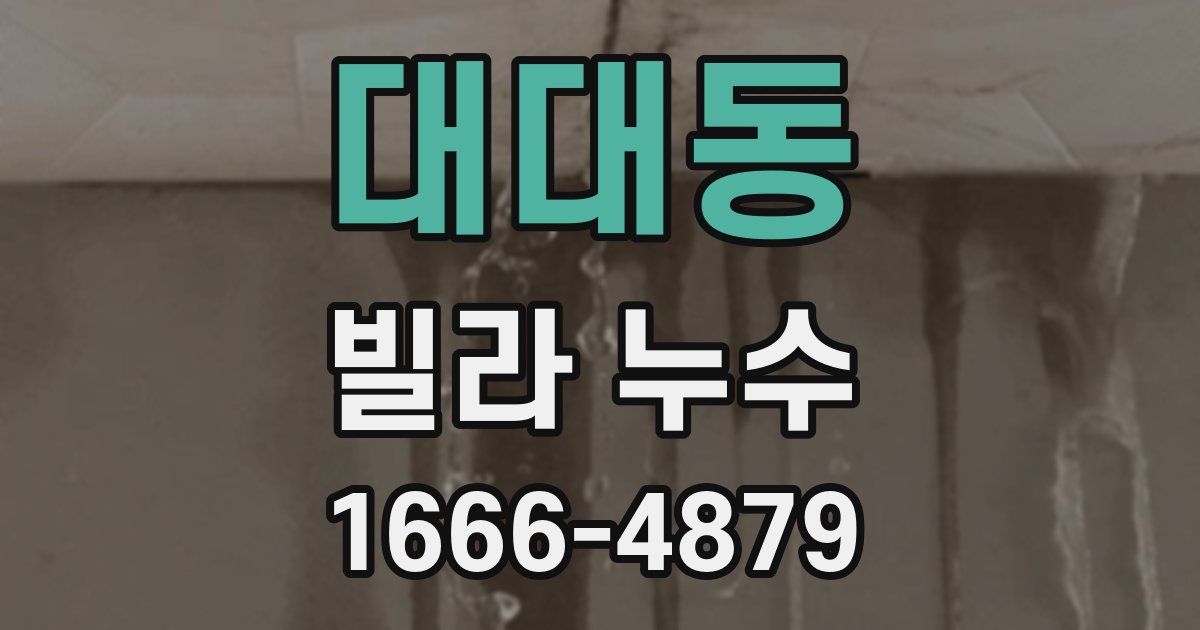 대대동 빌라 누수