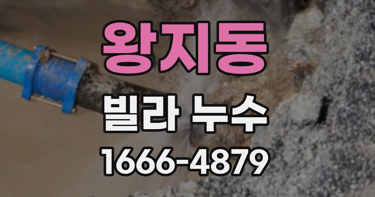 왕지동 빌라 누수