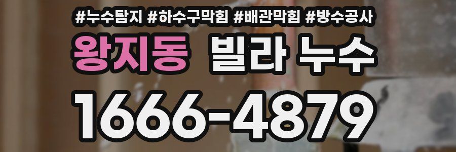 왕지동 빌라 누수