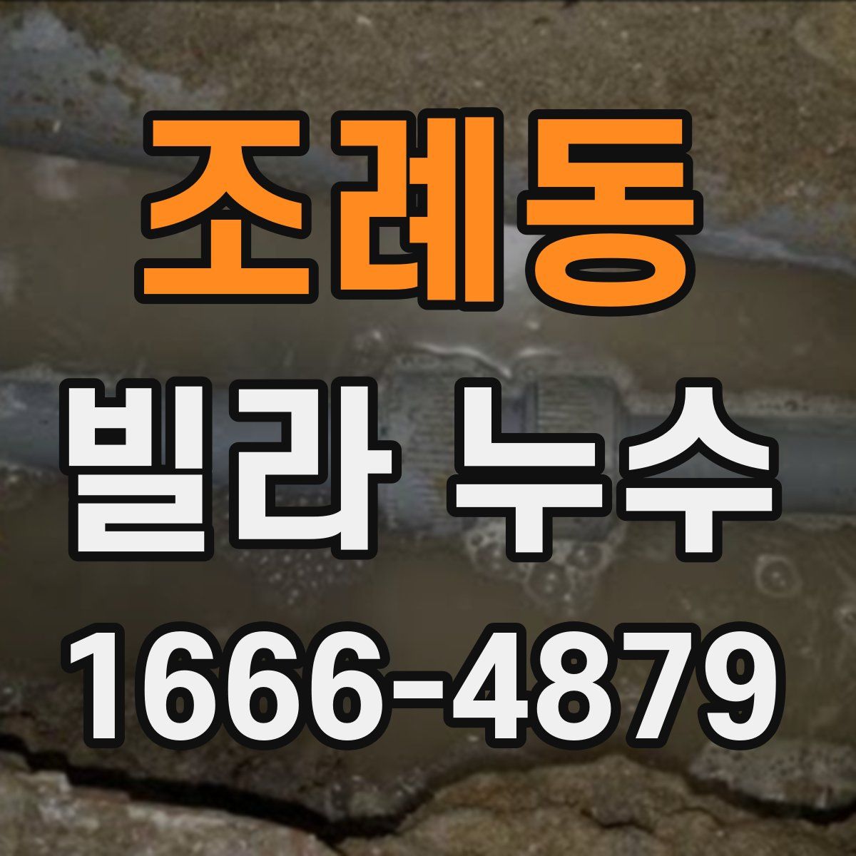 조례동 빌라 누수