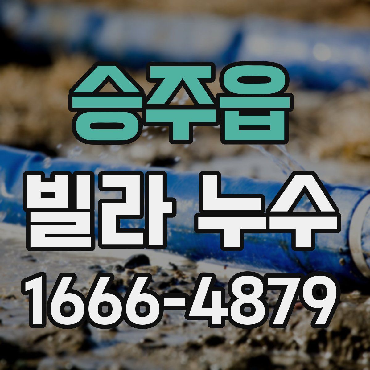 승주읍 빌라 누수