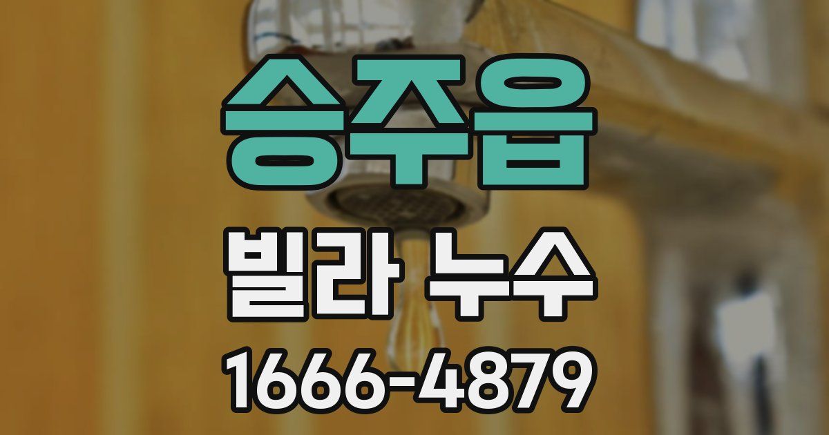승주읍 빌라 누수
