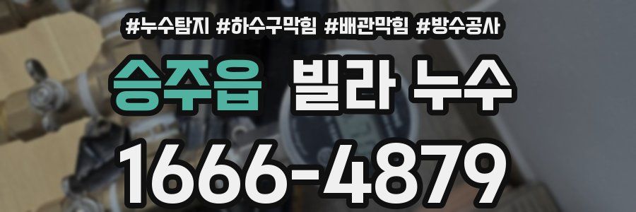 승주읍 빌라 누수