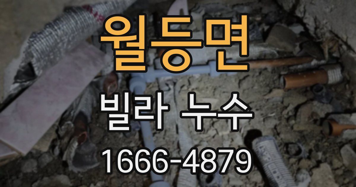 월등면 빌라 누수