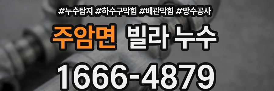 주암면 빌라 누수