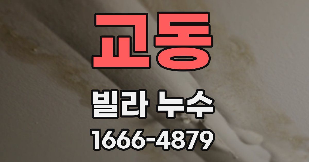 교동 빌라 누수