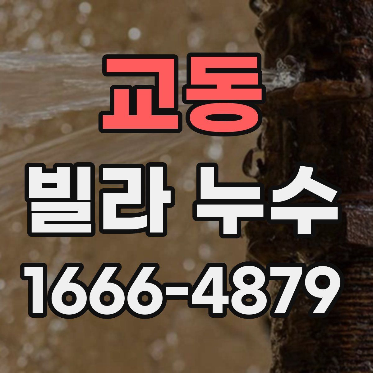 교동 빌라 누수