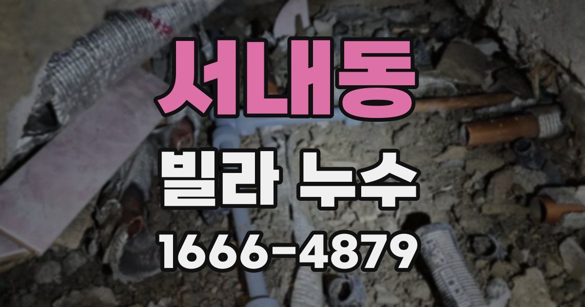 서내동 빌라 누수