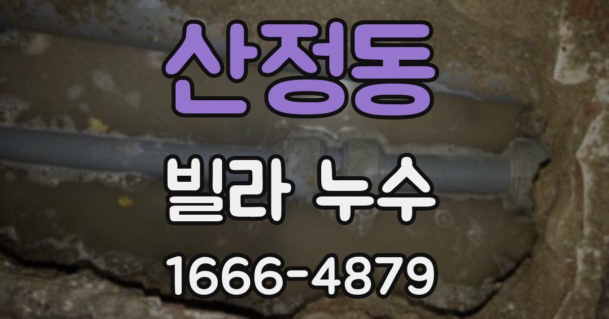 산정동 빌라 누수