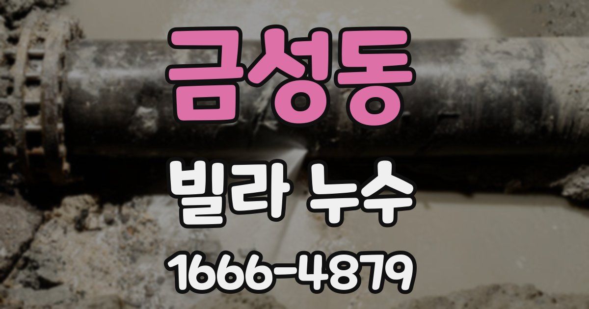 금성동 빌라 누수