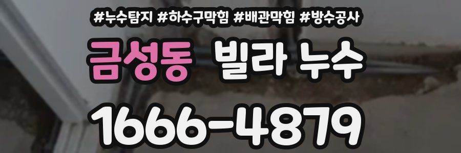금성동 빌라 누수