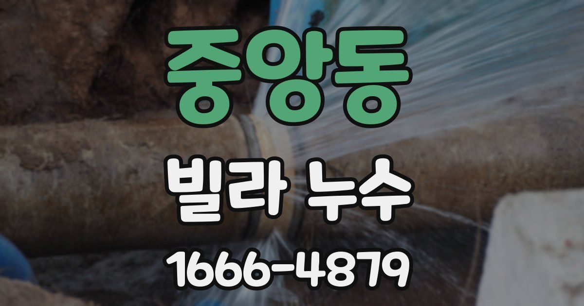 중앙동 빌라 누수