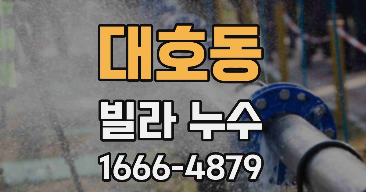대호동 빌라 누수