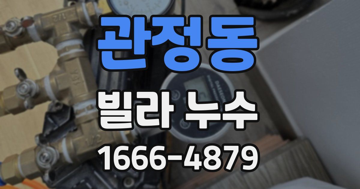 관정동 빌라 누수