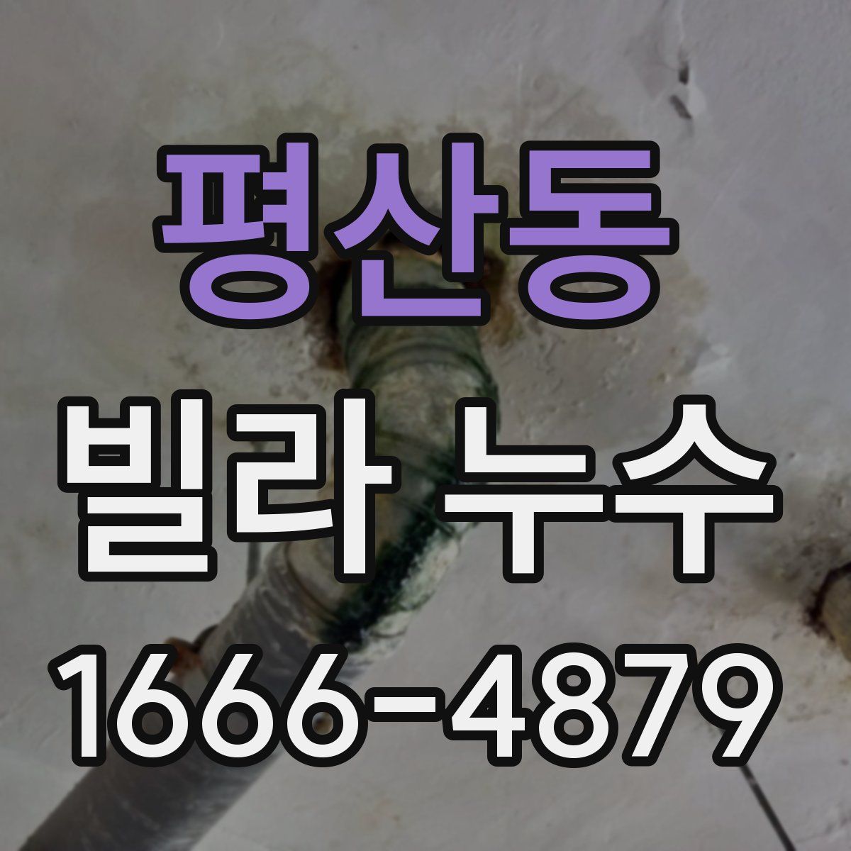 평산동 빌라 누수
