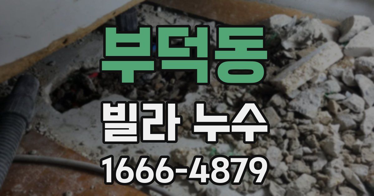 부덕동 빌라 누수