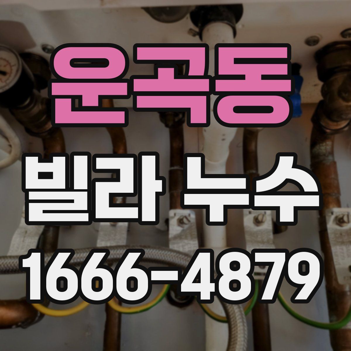 운곡동 빌라 누수