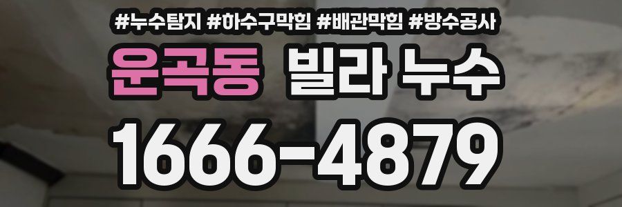 운곡동 빌라 누수