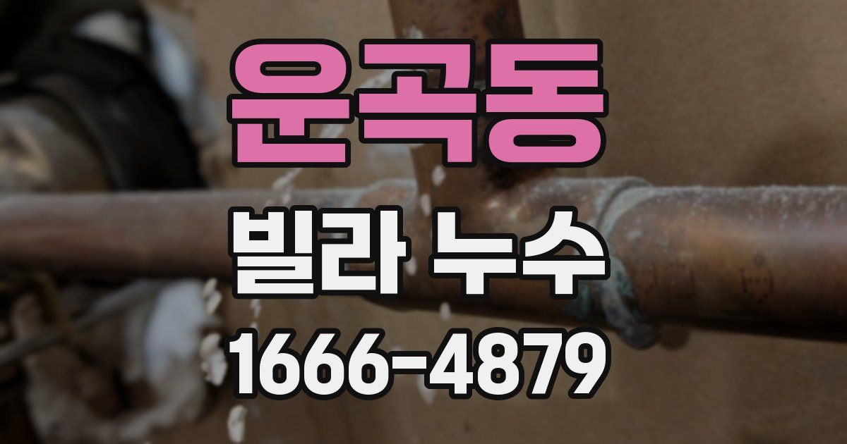 운곡동 빌라 누수
