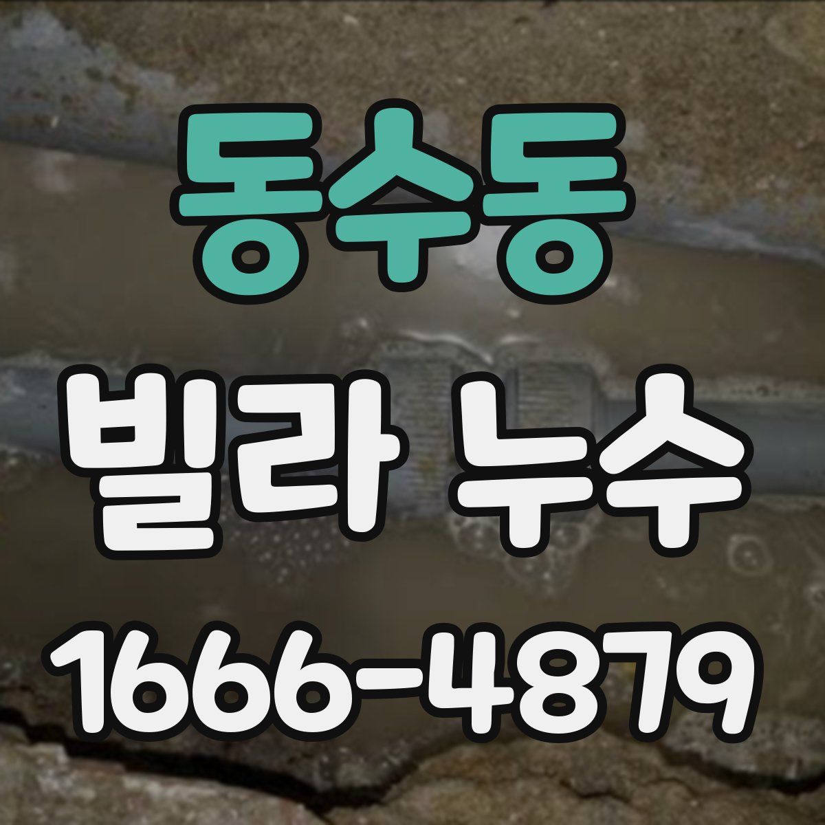 동수동 빌라 누수