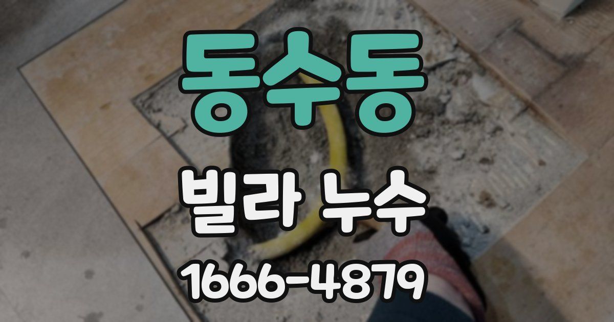 동수동 빌라 누수