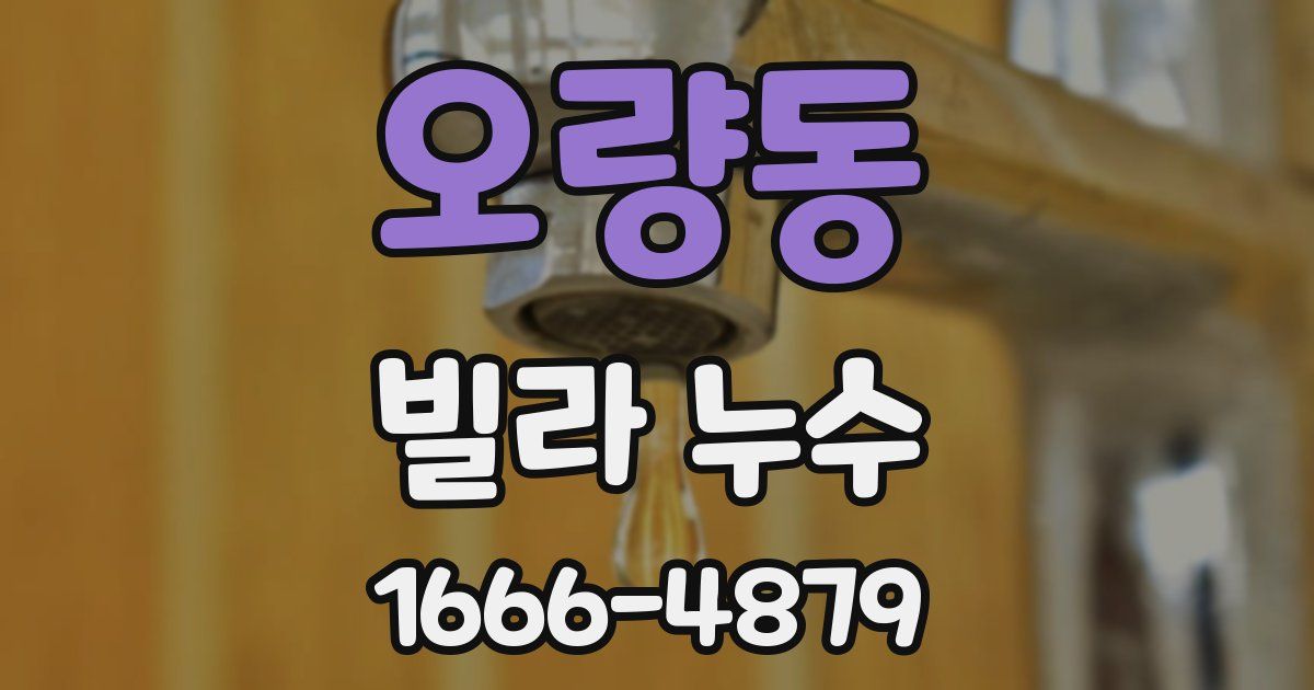 오량동 빌라 누수
