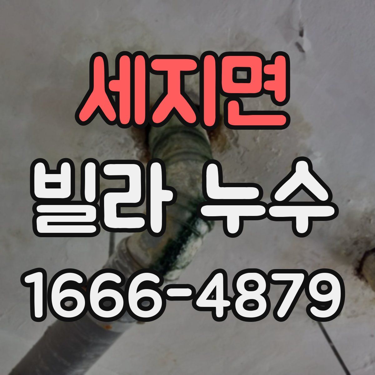 세지면 빌라 누수