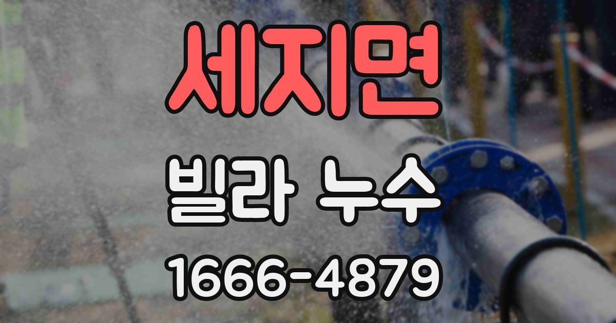 세지면 빌라 누수