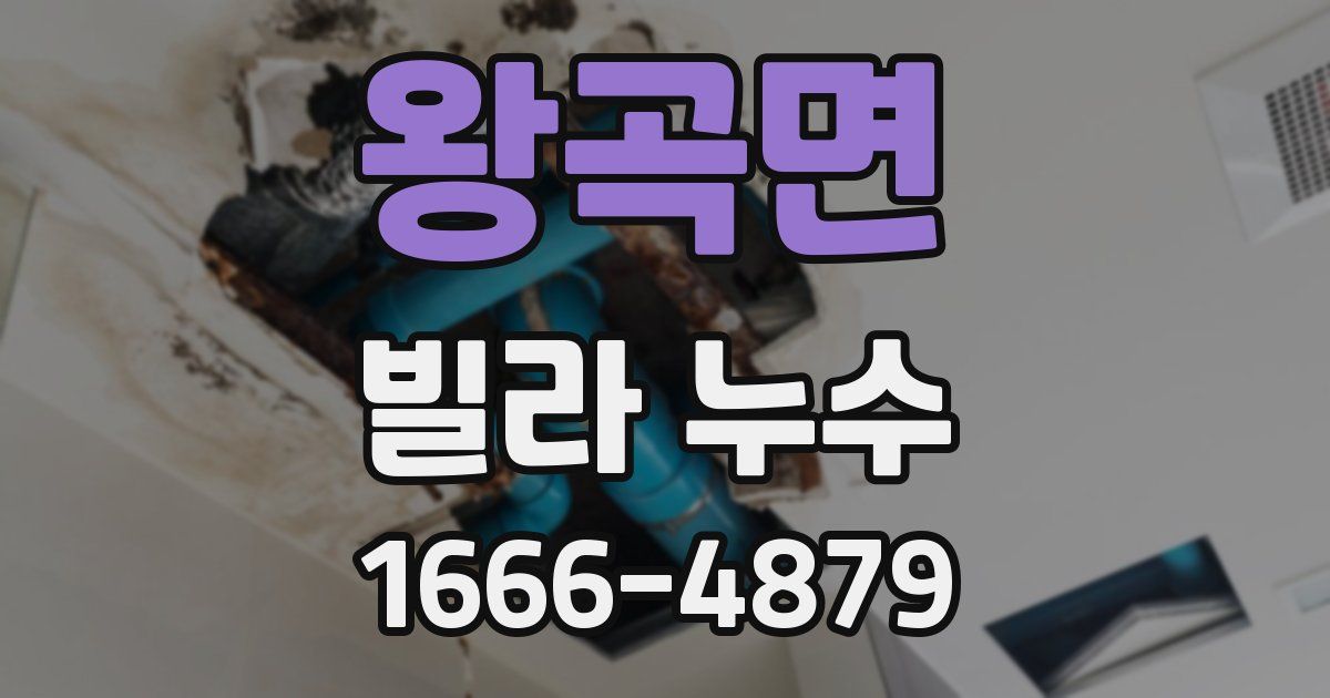 왕곡면 빌라 누수