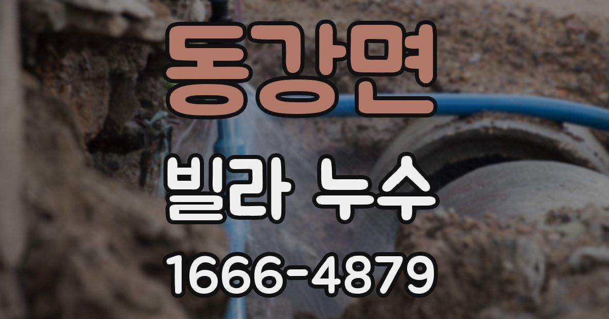 동강면 빌라 누수