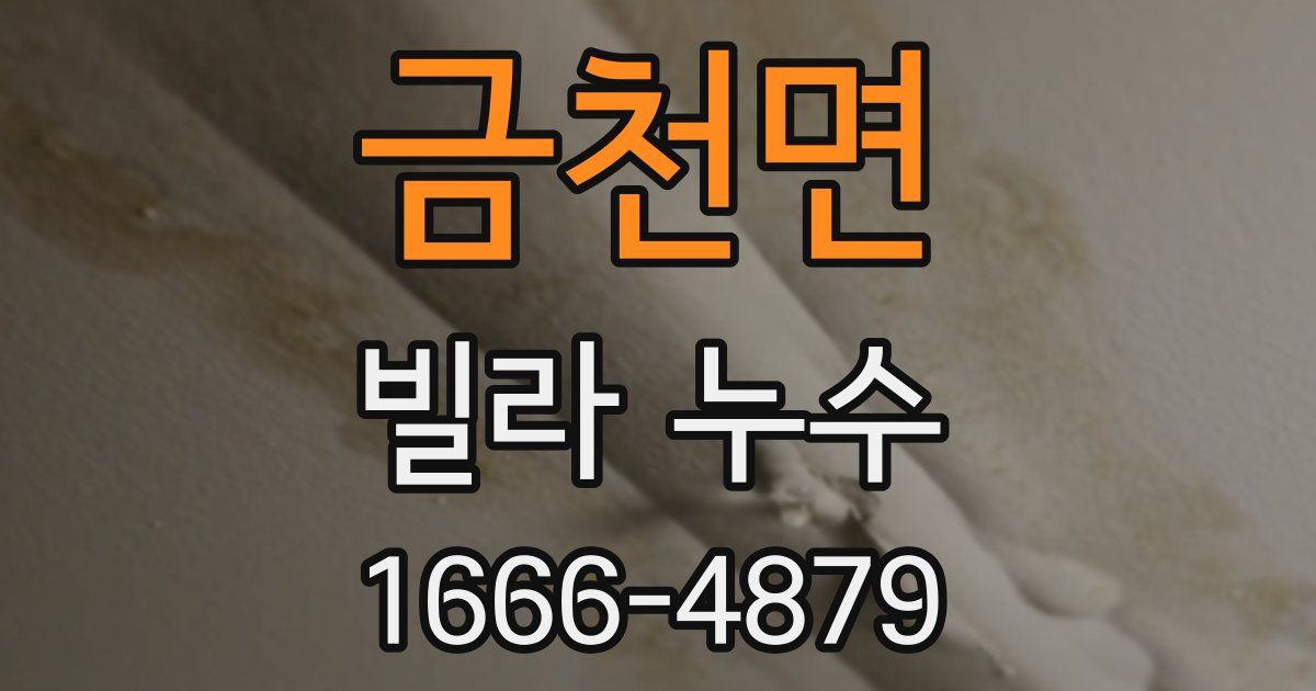 금천면 빌라 누수