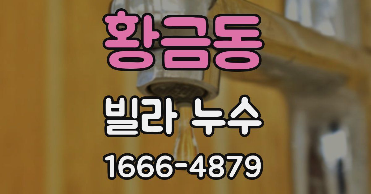 황금동 빌라 누수
