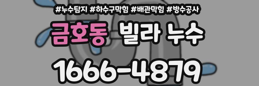금호동 빌라 누수