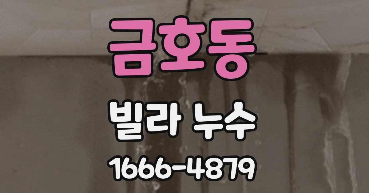 금호동 빌라 누수